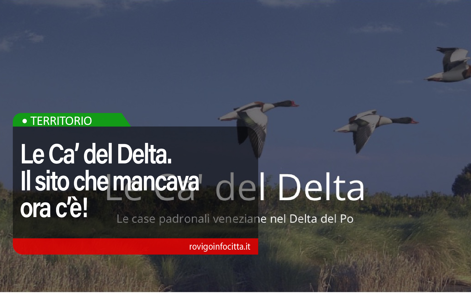 Le Ca' del Delta, un sito che racconta le case padronali veneziane nel Delta del Po