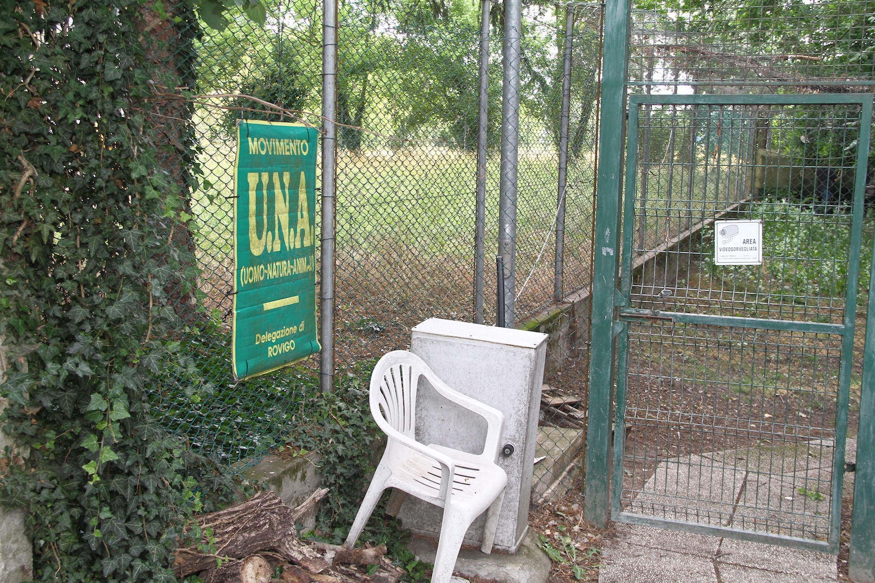 In merito alla questione oasi felina, l’Amministrazione comunale precisa...