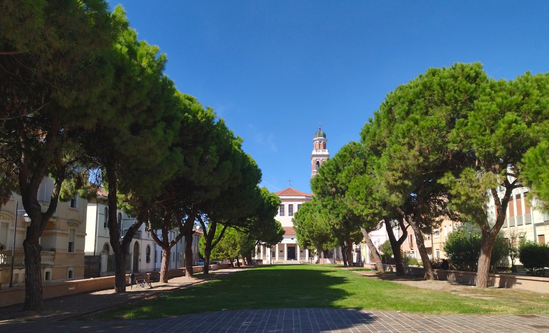 In Piazza XX Settembre saranno abbattuti 9 pini marittimi