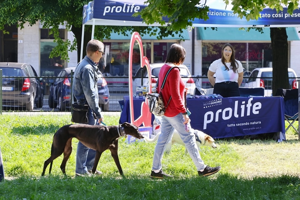 “Dog and the City” al parco Iras una giornata con la Festa del Cagnolino