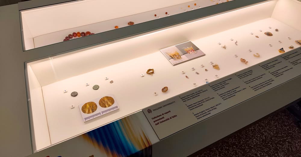 Festival Sulle vie dell’ambra 2026