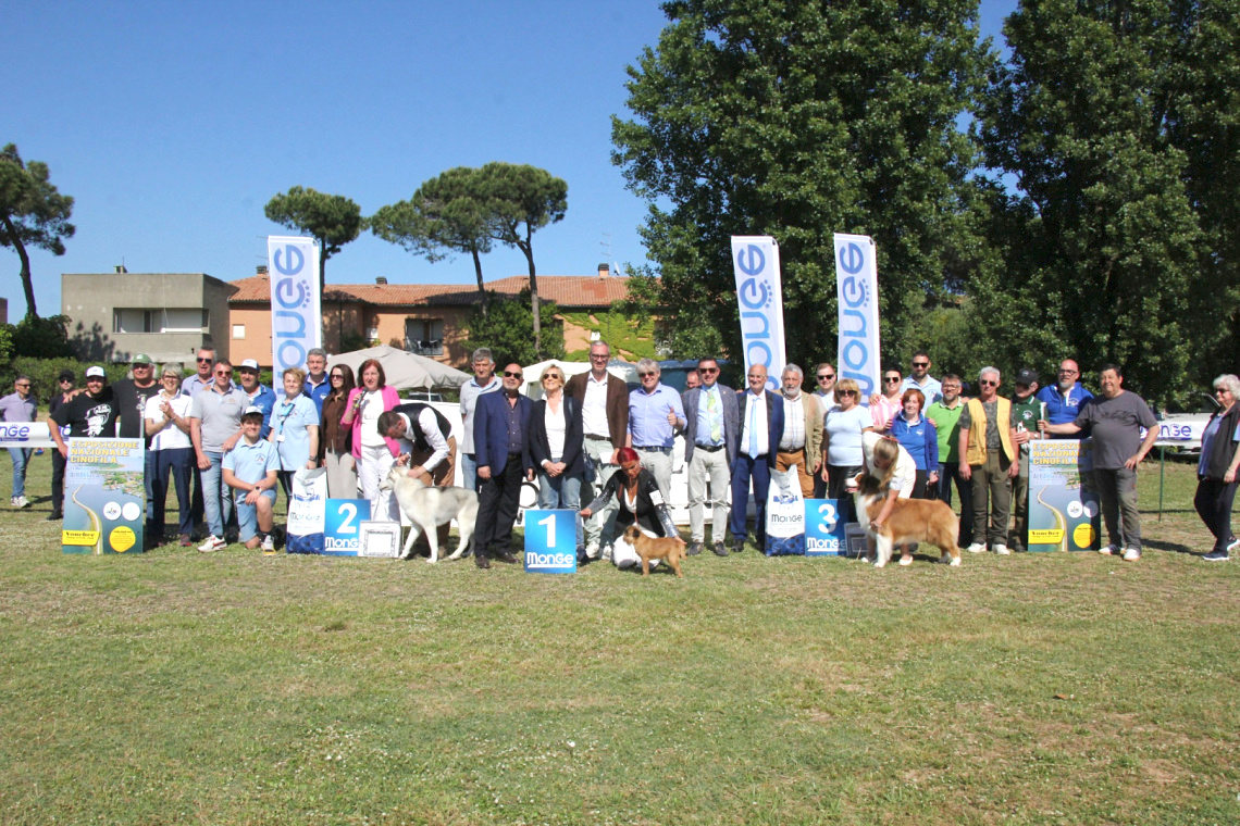All'isola di Albarella l'esposizione cinofila nazionale.