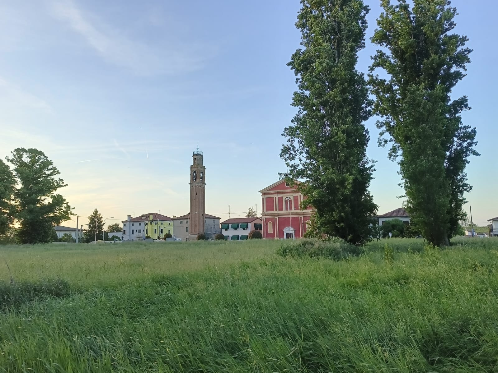 Il Bosco del Tarassaco può germogliare!