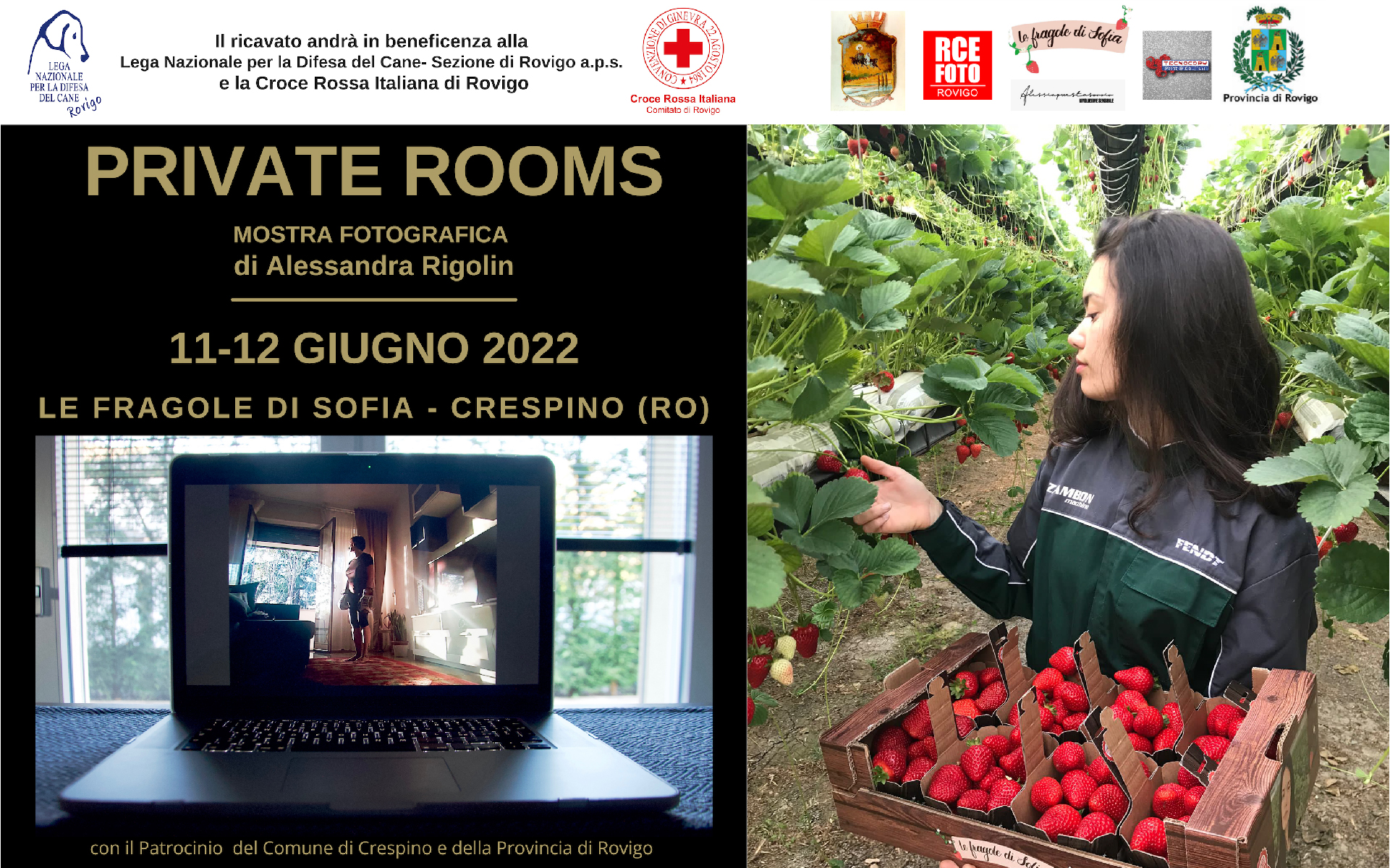 Private Rooms. La mostra itinerante di Alessandra Rigolin