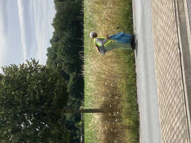 Müllsammeln