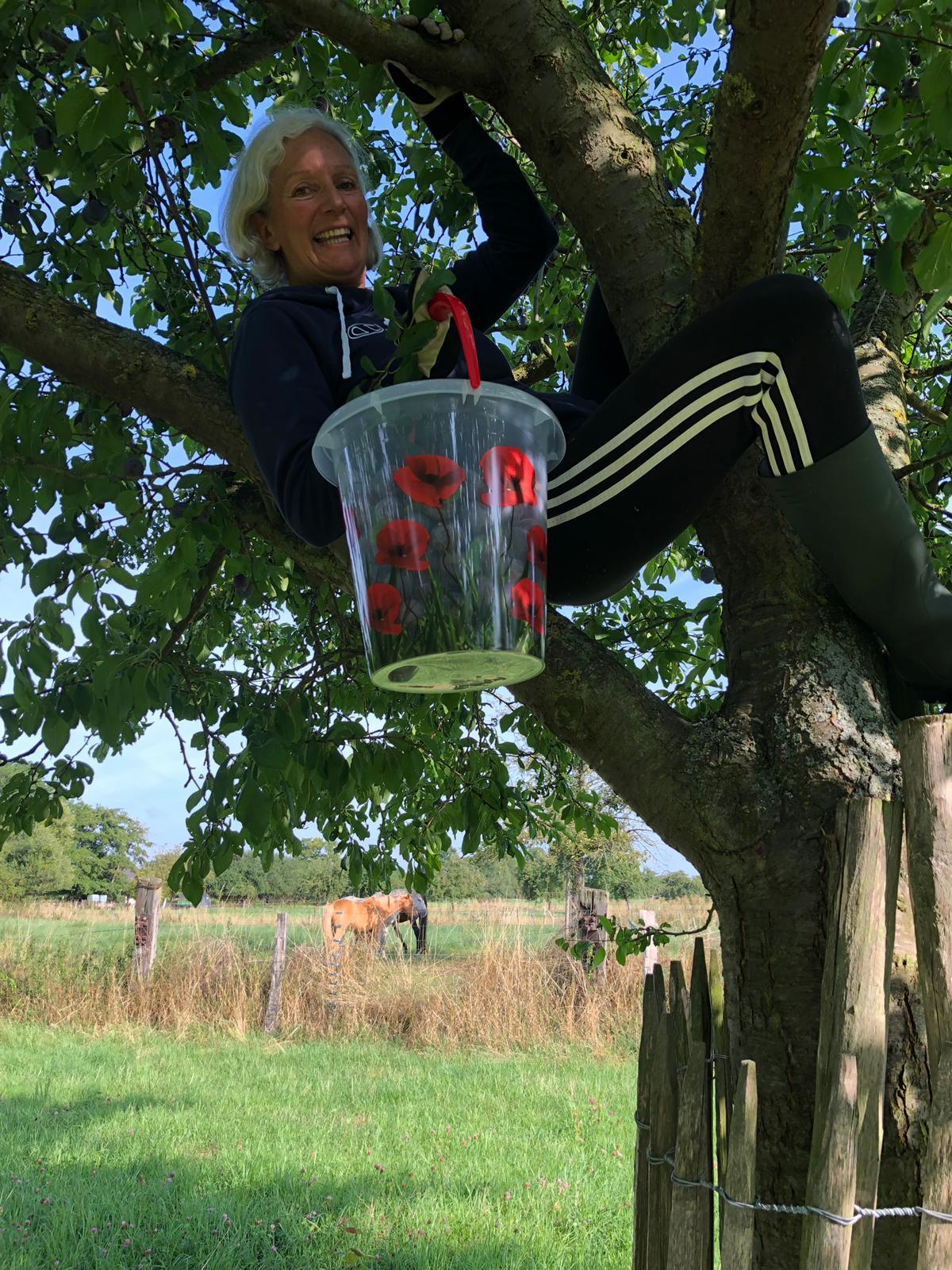 Elke klettert in den Pflaumenbaum. Foto: Elke Schönartz