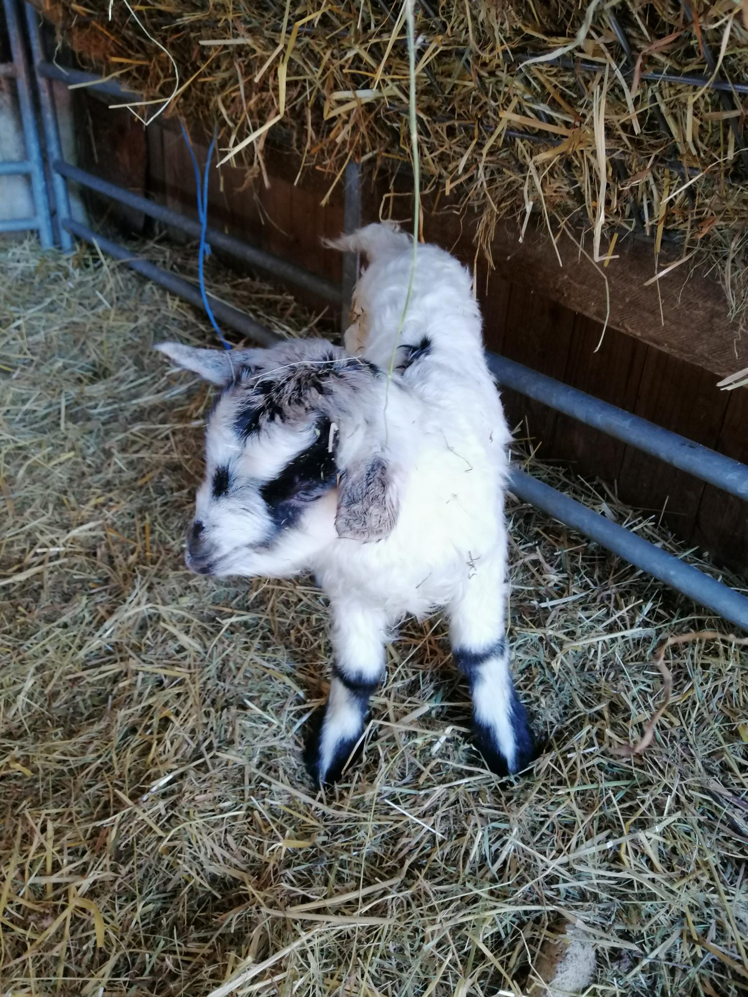und neugierig