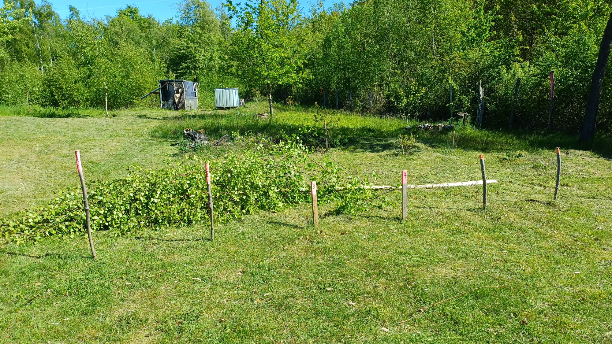 Der Zollstock im Freien