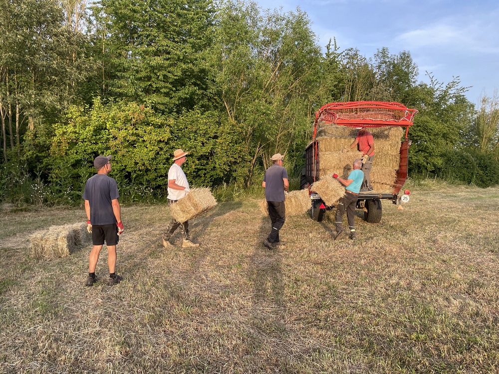 Ladewagen und Hänger sind im Einsatz.