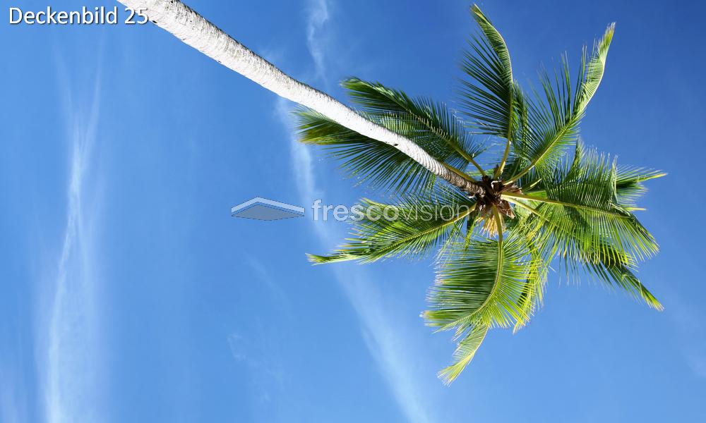 Palme Deckenbild 25
