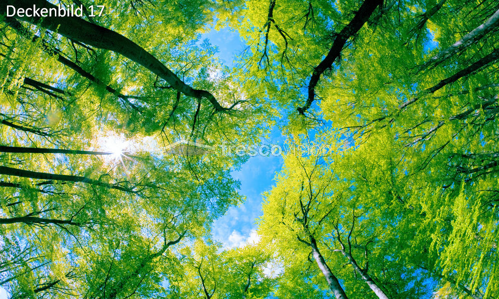Baum Deckenbild 17