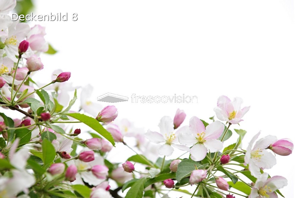 Deckenbild 8 Mandelbaum