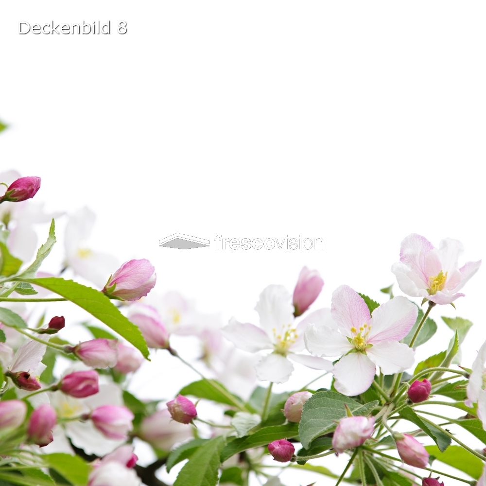 Mandelbaum Deckenbild 8