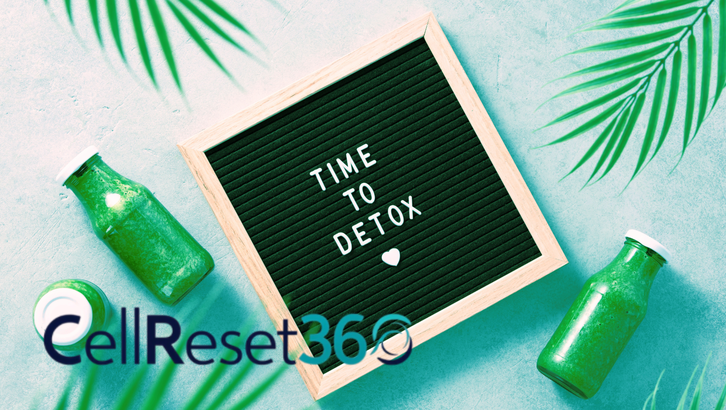 Detox für deine Zellen - So wirst du Abfallstoffe los!