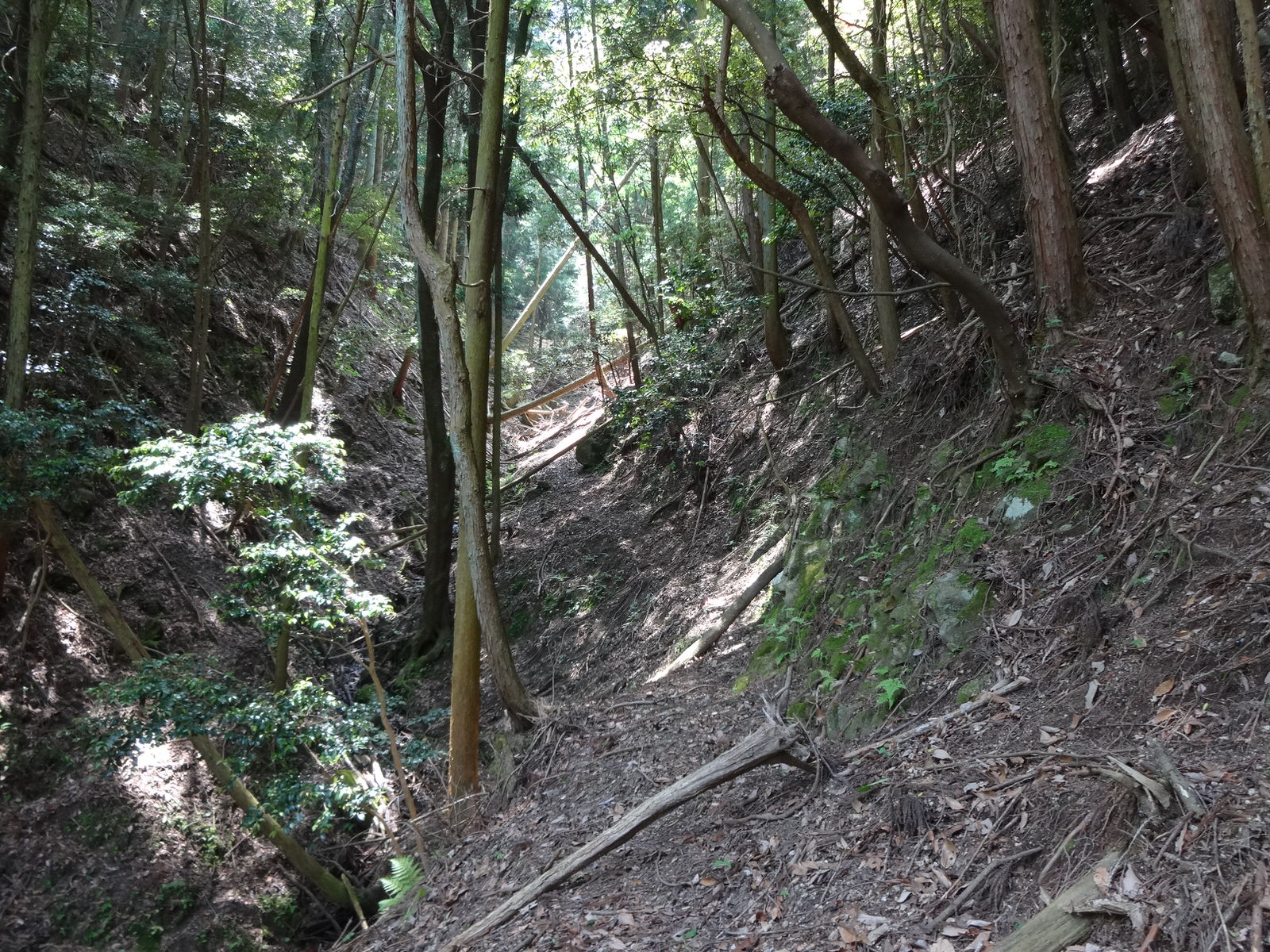 川の斜面を横切って