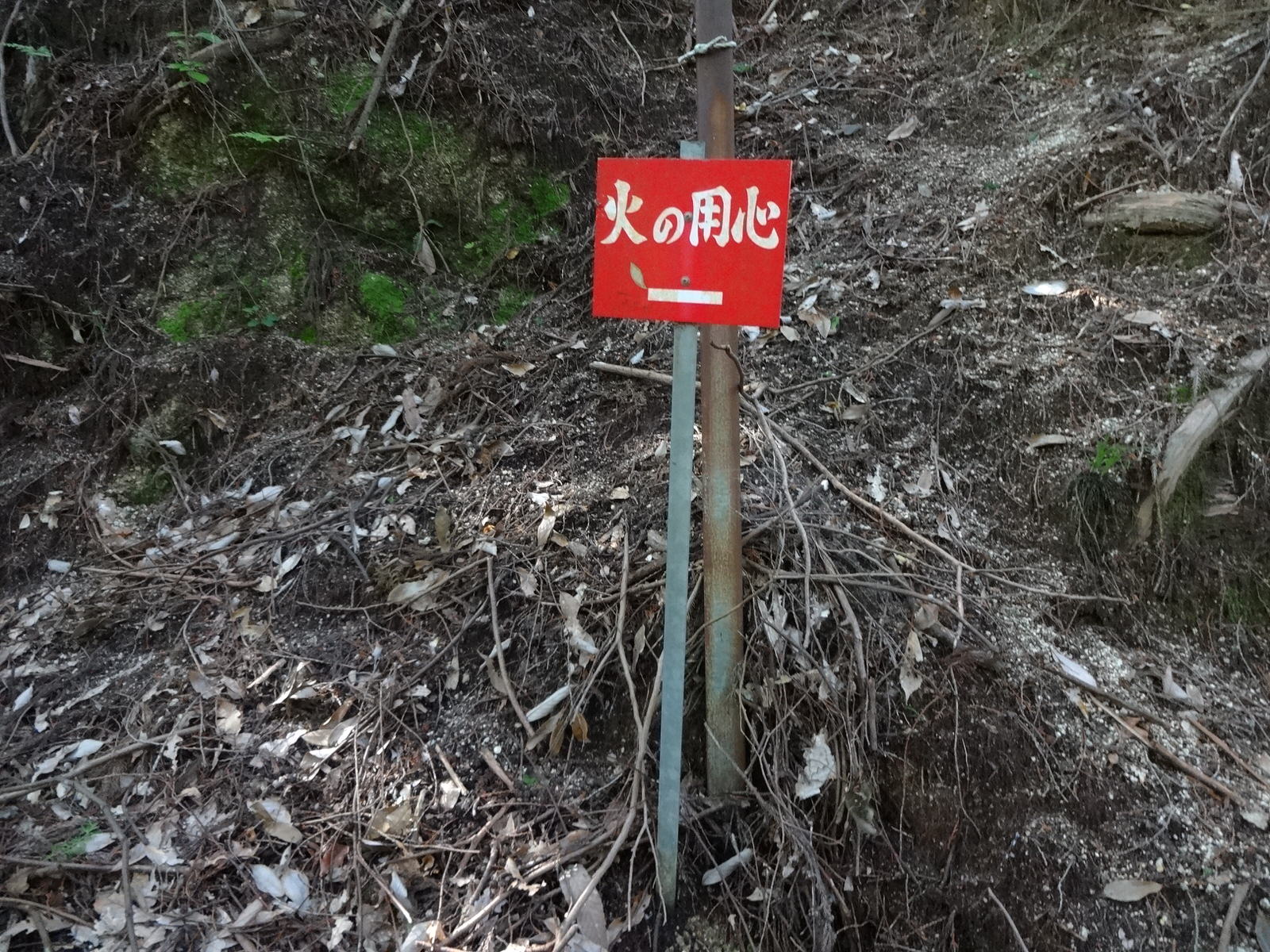 ５６号への登り口を示す看板