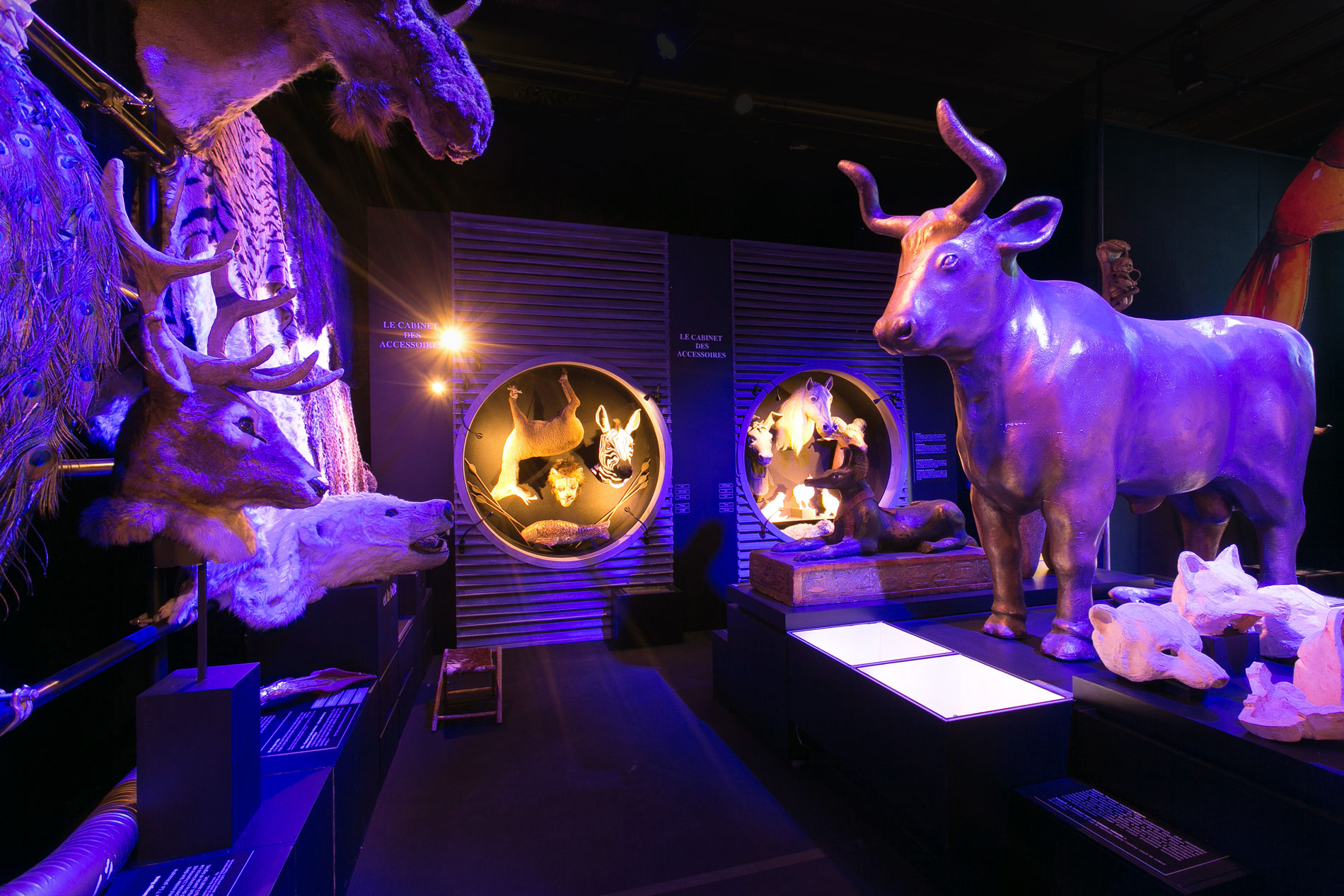 Photos de l'exposition Bêtes de Scènes. Opéra de Bordeaux.