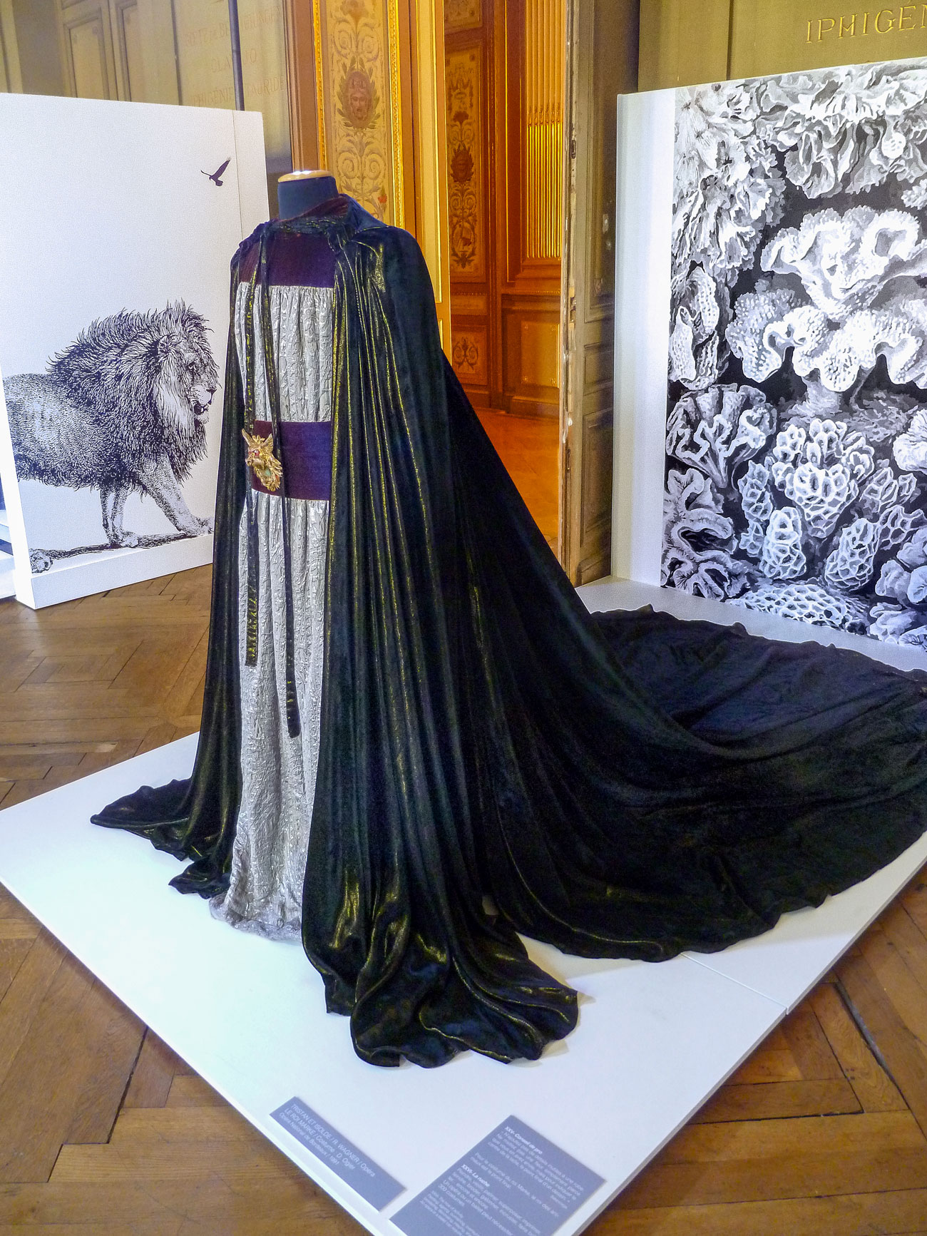 Photos de l'exposition Bêtes de Scènes. Opéra de Bordeaux.