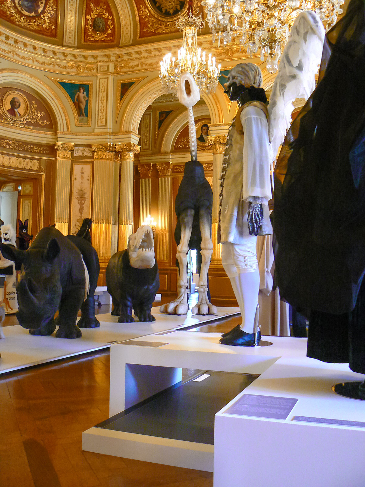 Photos de l'exposition Bêtes de Scènes. Opéra de Bordeaux.