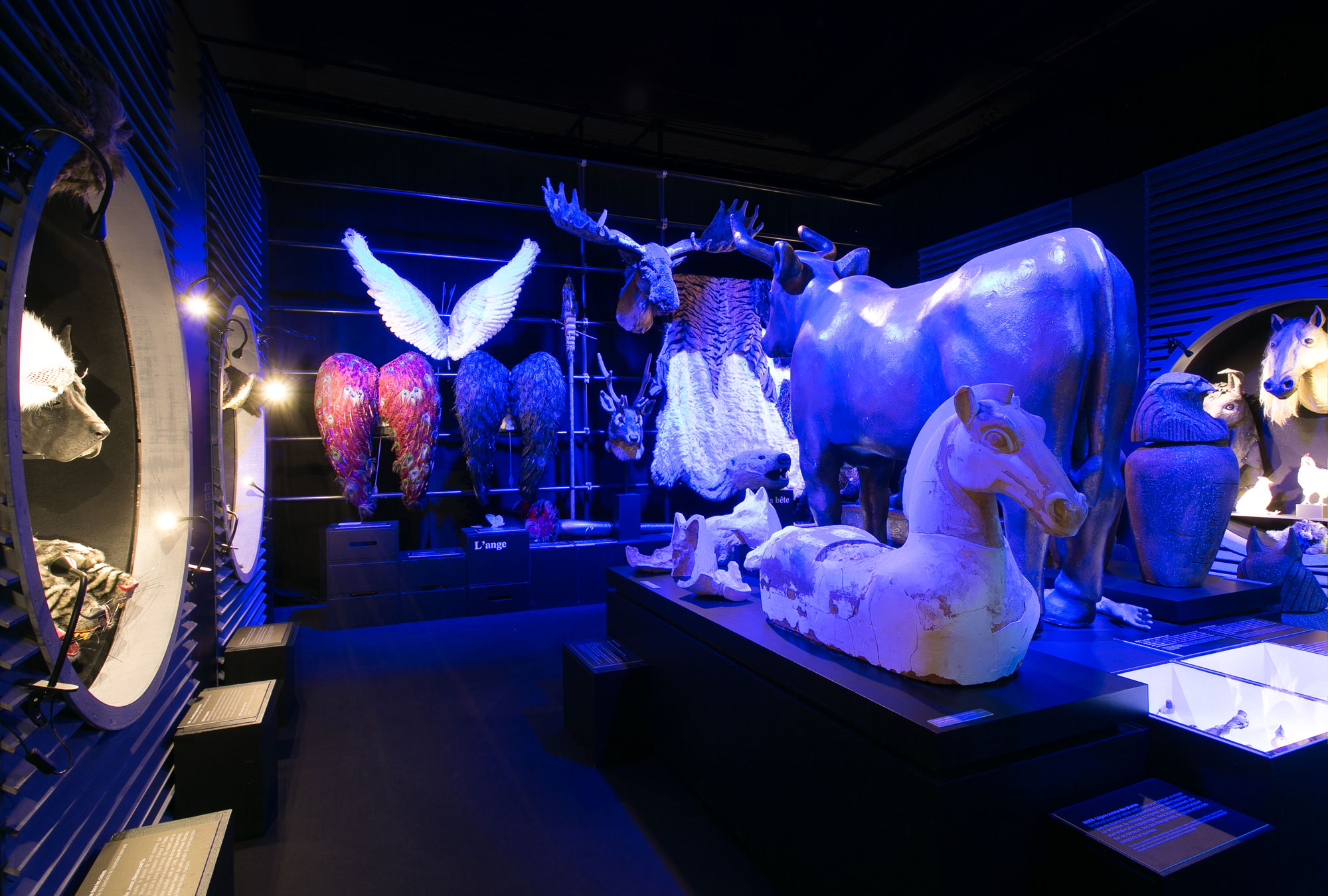 Photos de l'exposition Bêtes de Scènes. Opéra de Bordeaux.