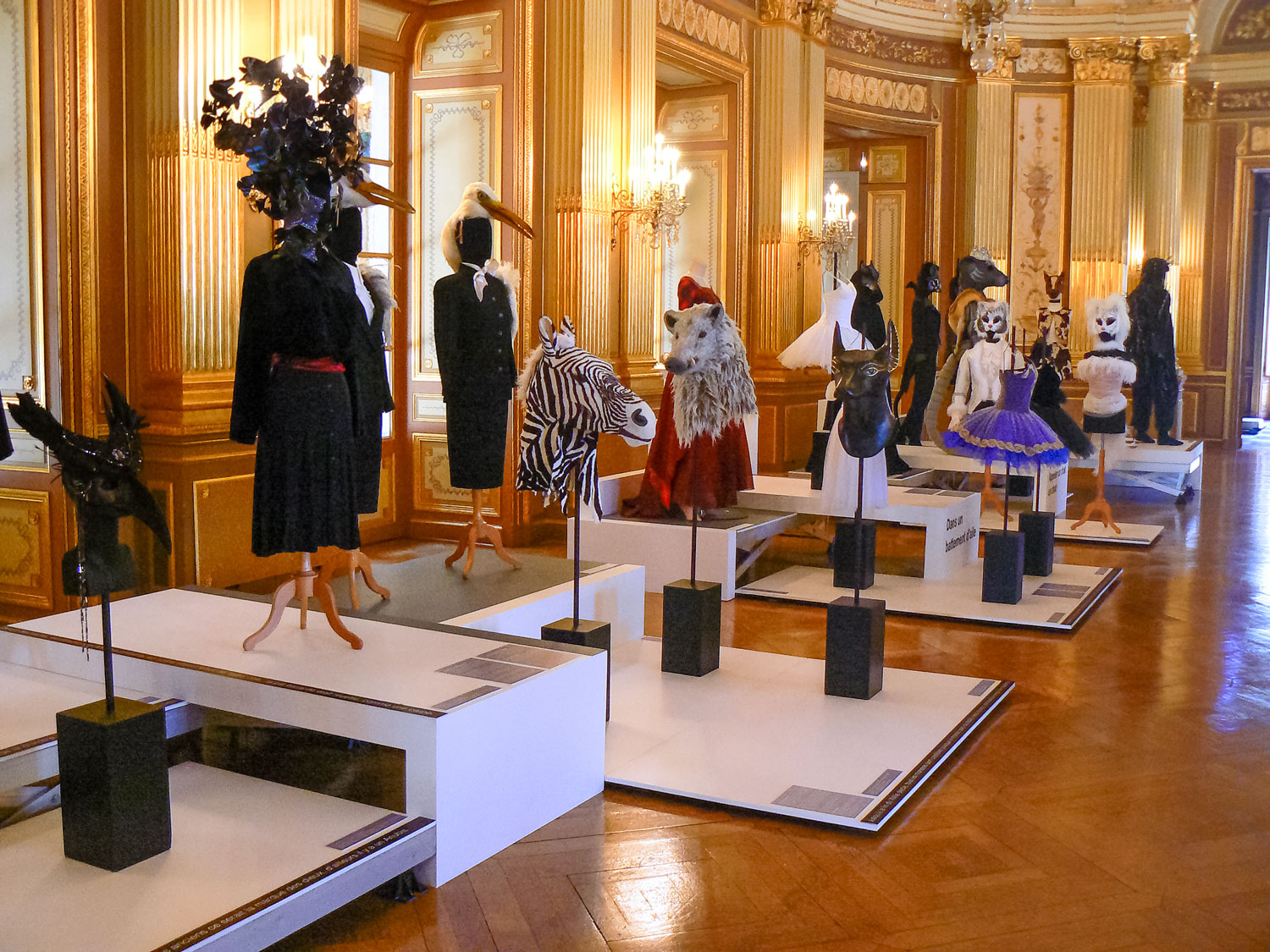 Photos de l'exposition Bêtes de Scènes. Opéra de Bordeaux.