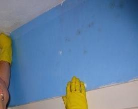 Schimmel Entfernen Schimmel In Der Wohnung Richtig Entfernen