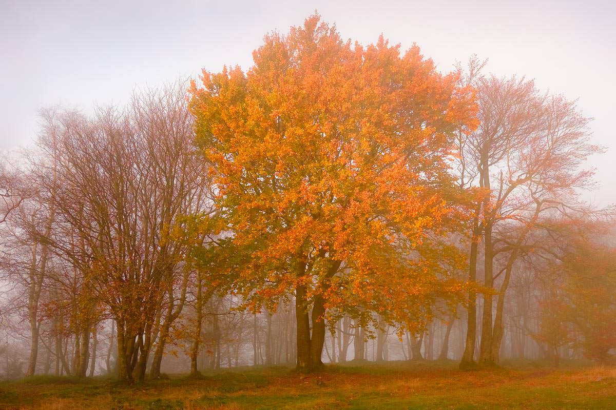 Herbststimmung auf dem Gipfel des Altkönig