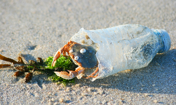Quelle: www.umweltbundesamt.de / 7 Punkte Plan für weniger Müll im Meer