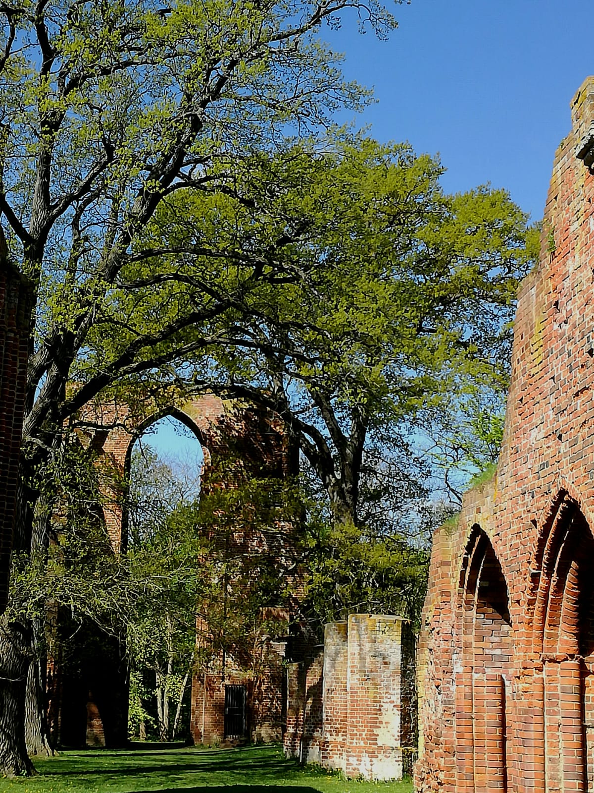 Kloster Eldena