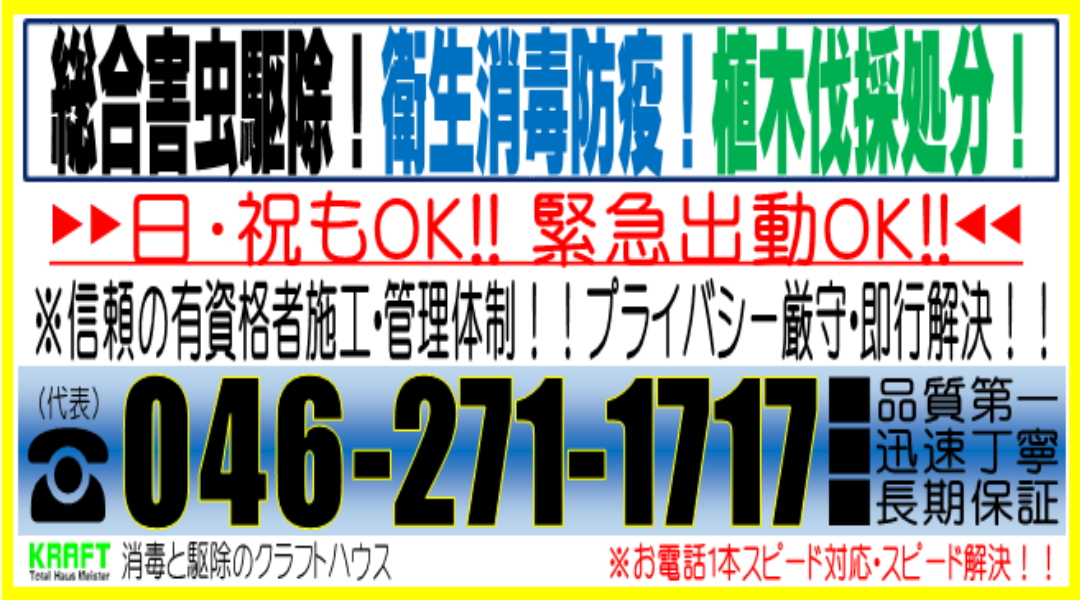 日曜・祝日も休まず営業！緊急出動OK！