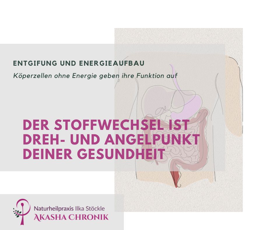 Dein Stoffwechsel entscheidet über deine Gesundheit