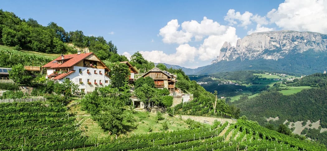 Osteria contadina Rielingerhof sul Renon con vigneti e vista sullo Sciliar – maso in posizione soleggiata sopra Bolzano