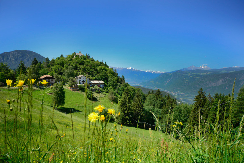 Restaurant Apollonia Ristorante Nals Nalles Sirmian Sirmiano Gourmet Südtirol