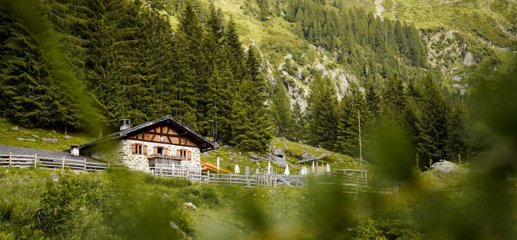 Prantacher Alm (Fartleisalm) im Passeiertal – urige Genussalm oberhalb von St. Martin, idyllisch eingebettet in Wälder und die beeindruckende Südtiroler Bergwelt.