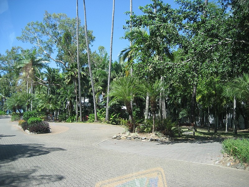 Palm Cove