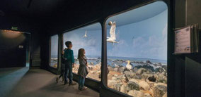 maison-baie-de-somme-observation-oiseaux-decouverte-nature-picardie