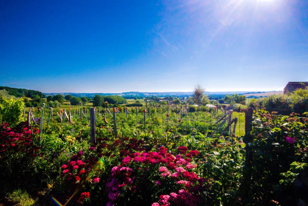 Alôsnys, éco-centre pédagogique en permaculture et agro-biologie