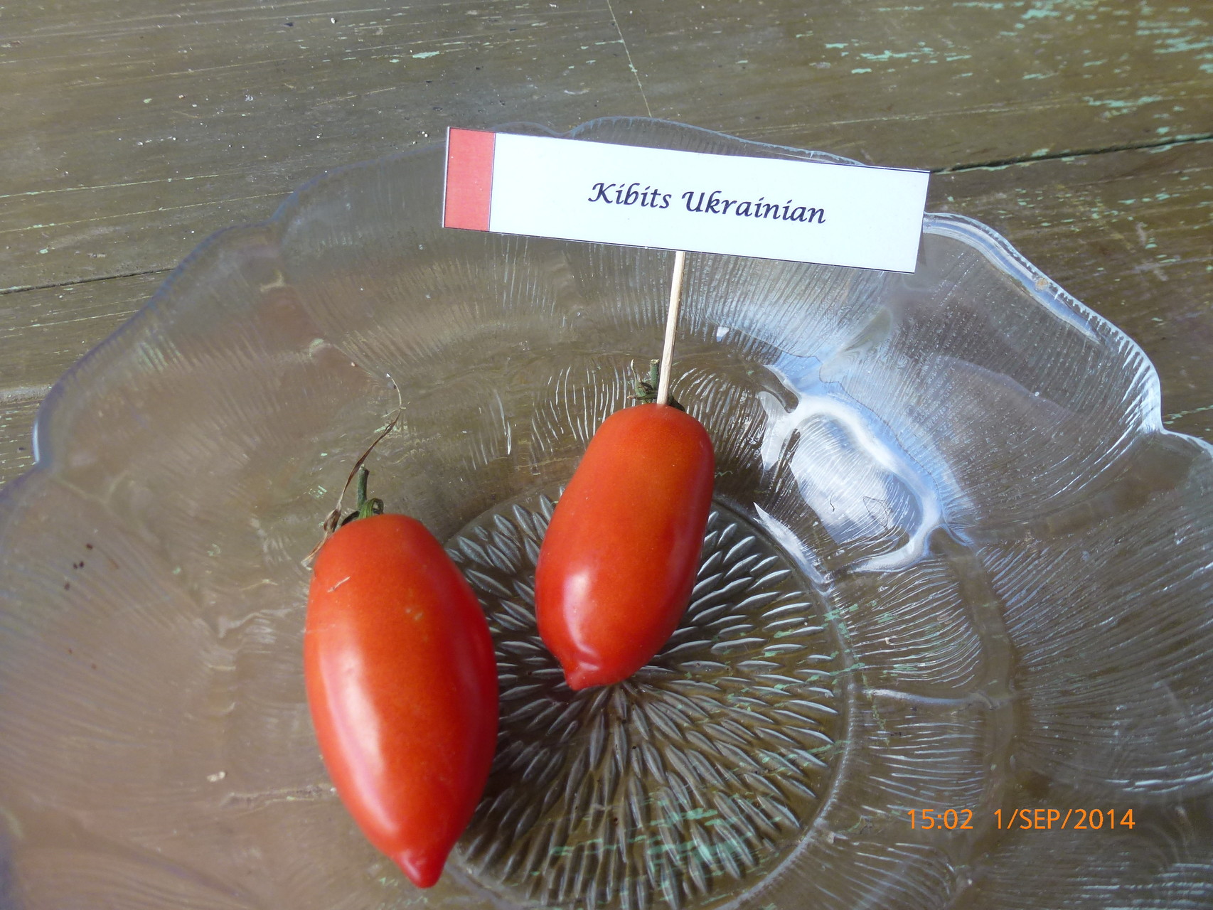 Tomate ancienne - Kibits ukrabnian