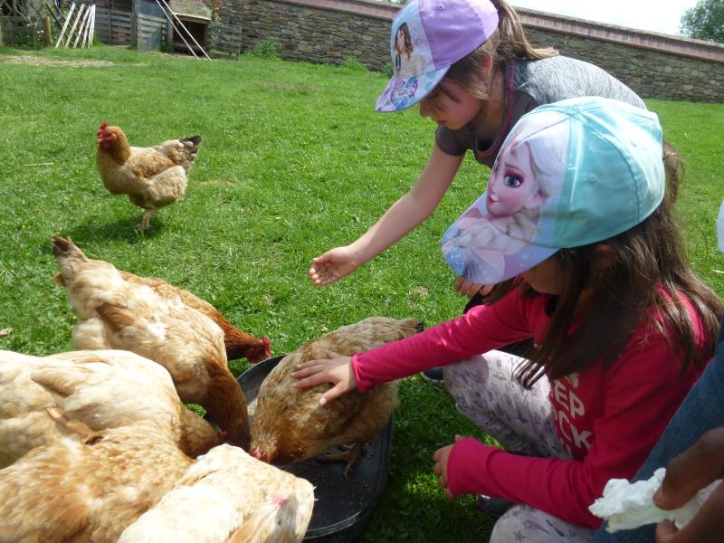 Les animaux de notre ferme pédagogique aiment recevoir les enfants