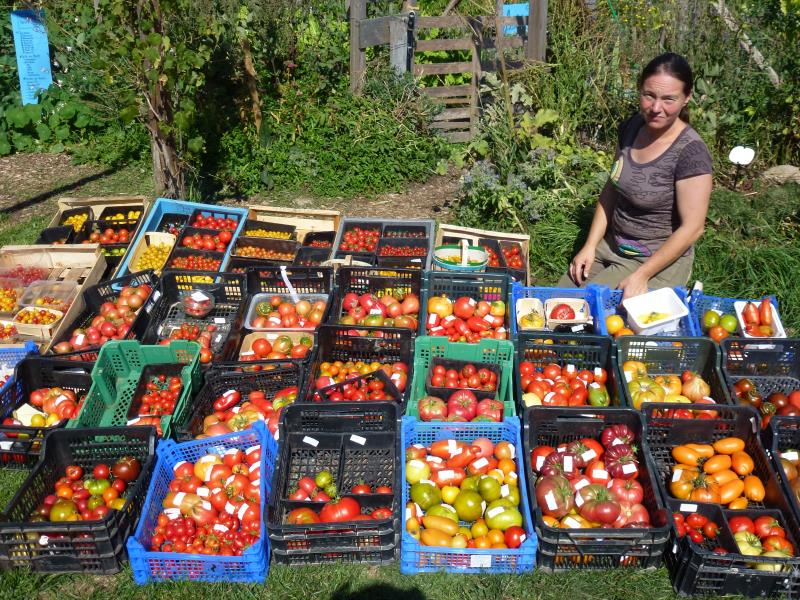 Formation permaculture avec notre animatrice -permacultrice  expérimentée Aurore