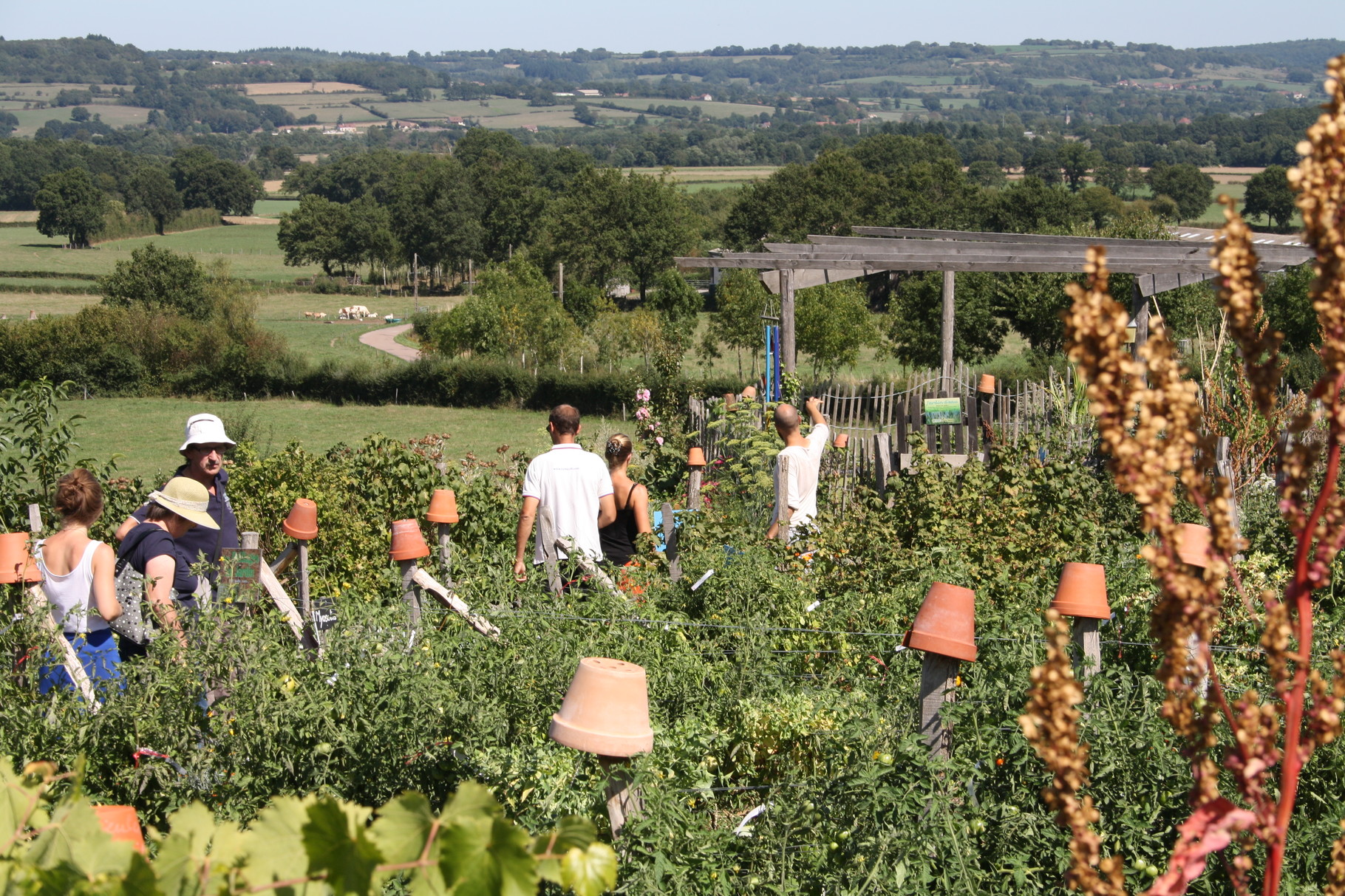 Visite guidée d'un jardin permaculture