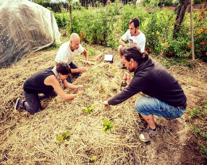 Apprenez à jardiner lors d'une formation permaculture avec notre maraicher expérimenté Bruno