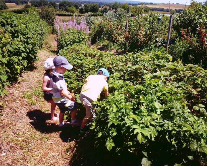 Alôsnys propose de nombreuses activités pédagogiques  pour écoles et centres de loisirs tel que la chasse au trésor