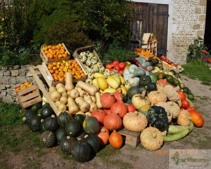 Cueillez votre panier bio de légumes au jardin  riche en biodiversité