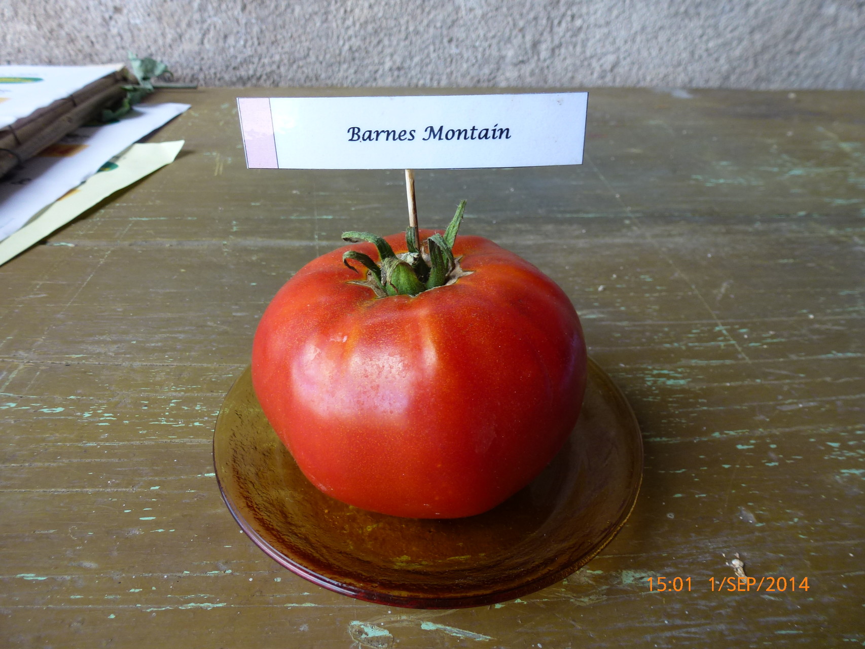 Tomate ancienne