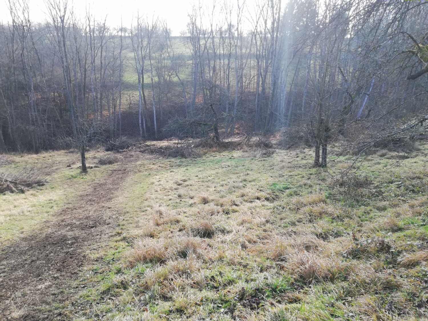 Pflege am Bach Foto B.E