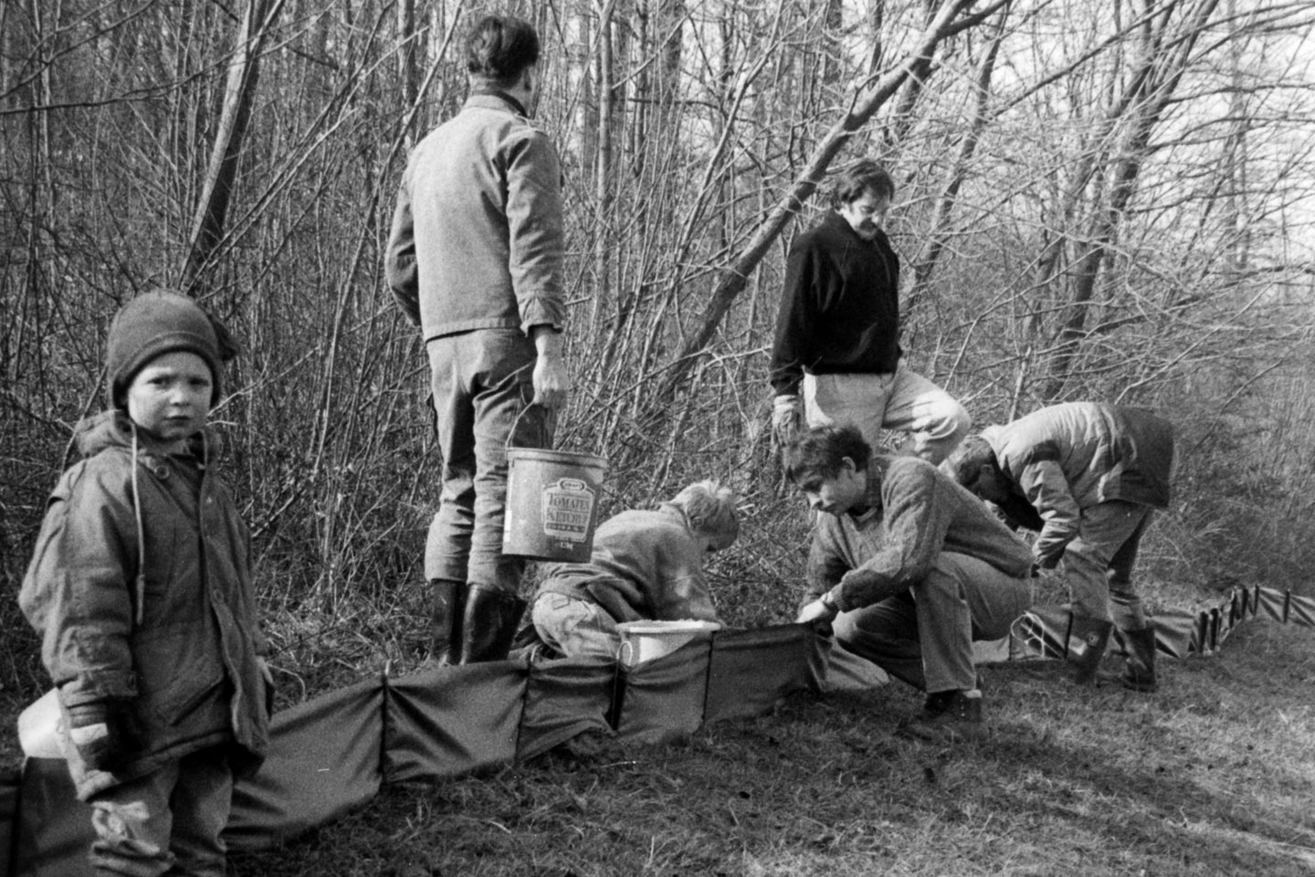 Froschzaun Balzholz Foto NABU