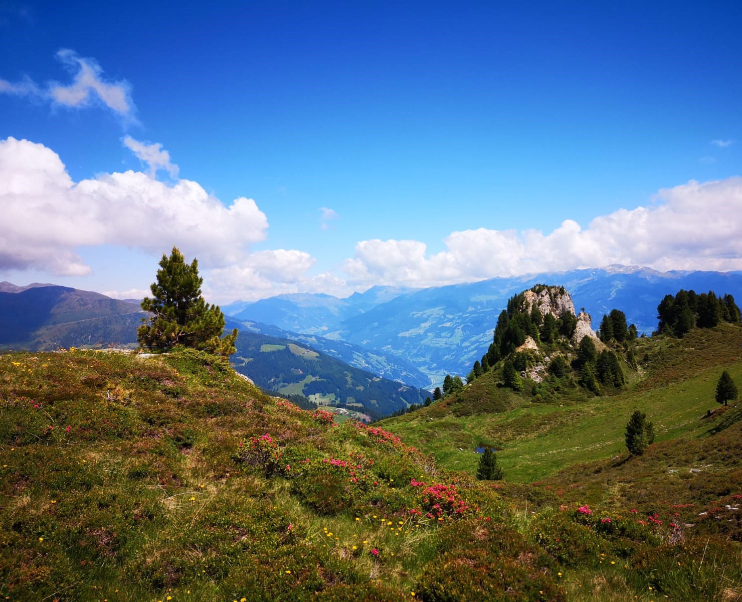 Bergkraft 2026 – Auszeit für Frauen im Zillertal: Coaching in den Bergen