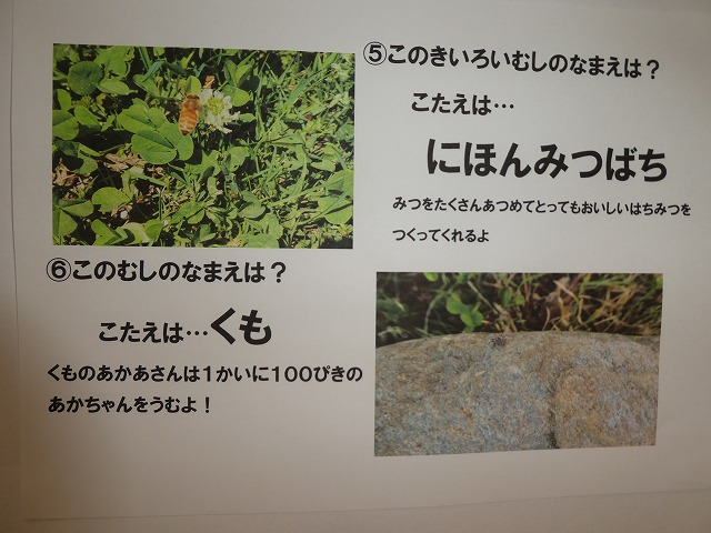 幼稚園クイズ むし むし編 の答え Tyoyou ページ