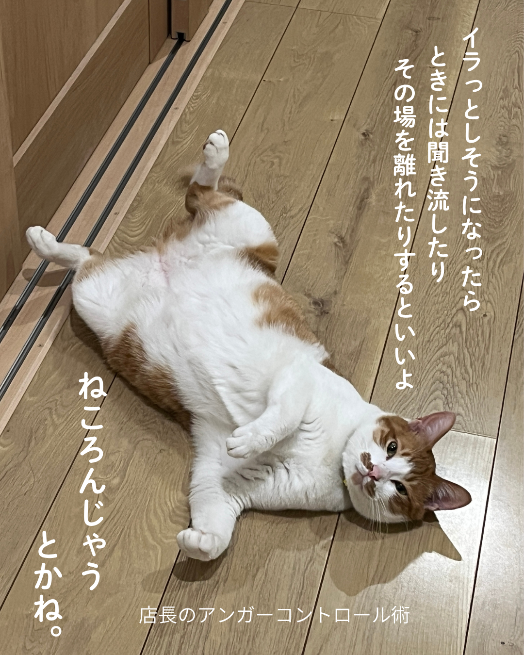 【ゆるレポ】アンガーコントロール入門講座